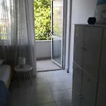 Lav * Zadar